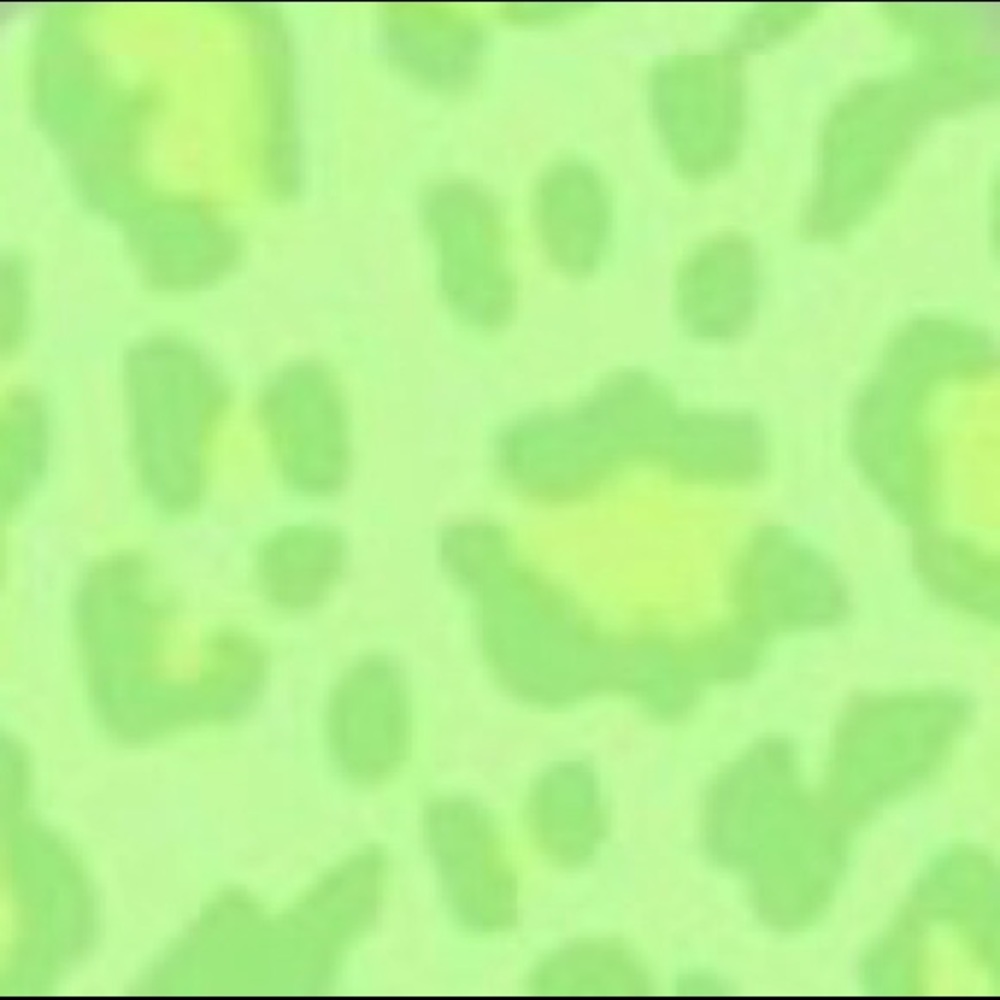 Meet your Posher, Caitlin